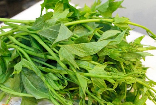 Nghiên cứu tại Mỹ cho thấy loại rau giá rẻ ở Việt Nam ức chế ung thư